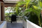 Gas grill on the entry deck surrounded by lush tropical folliage